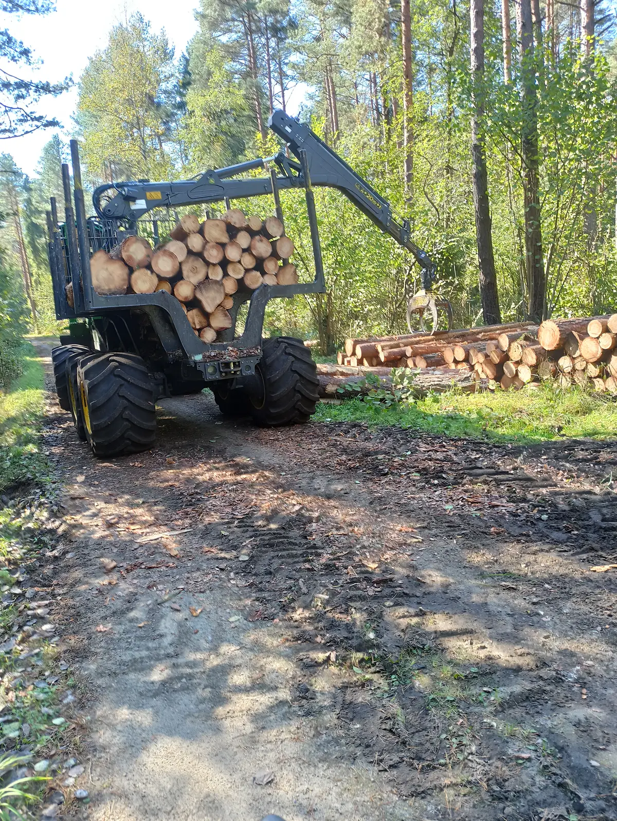 Forwarder z ładunkiem okrągłego drewna na leśnej drodze obok stosów kłód