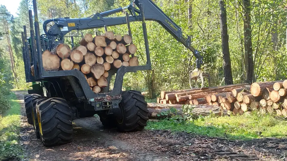 Forwarder przewożący drewno obok stosów kłód w lesie
